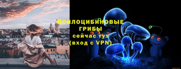 PSILOCYBIN Зерноград