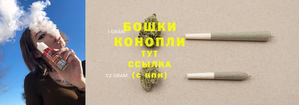 PSILOCYBIN Зерноград