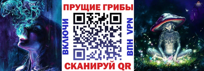 Купить закладки  Катав-Ивановск  Галлюциногенные грибы Psilocybe 
