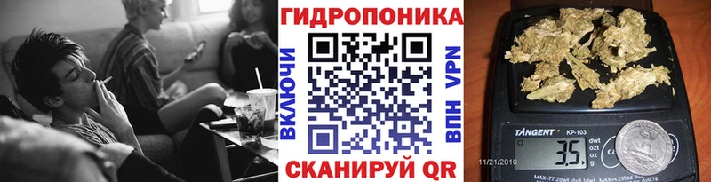 Марихуана Amnesia  Купить  Катав-Ивановск 